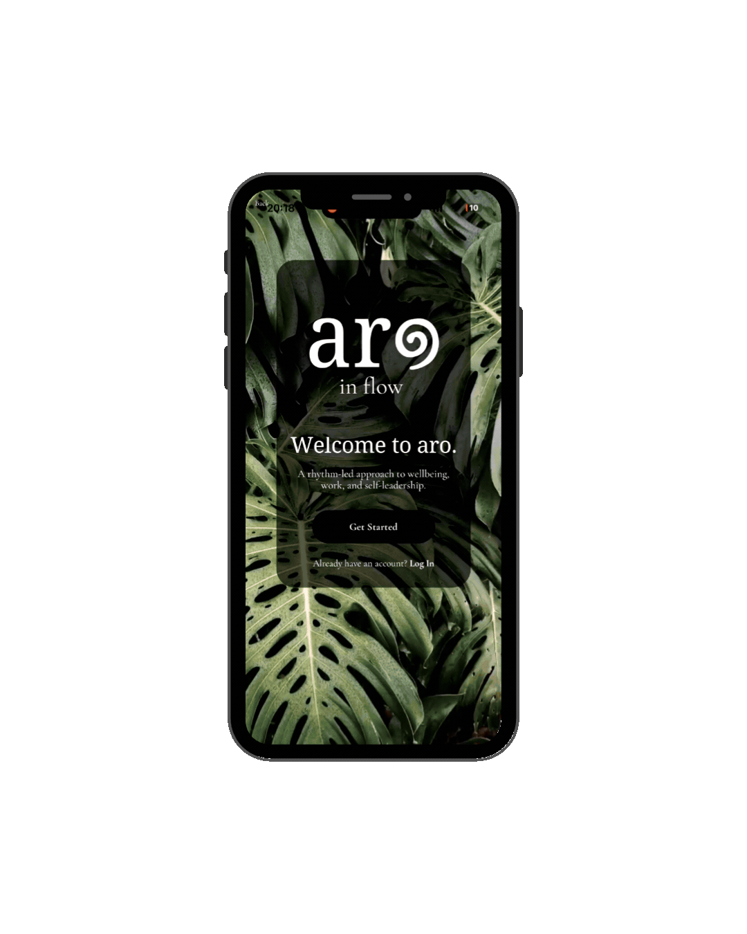 Aro In Flow website demo